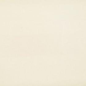 Jersey di cotone unito Ecru