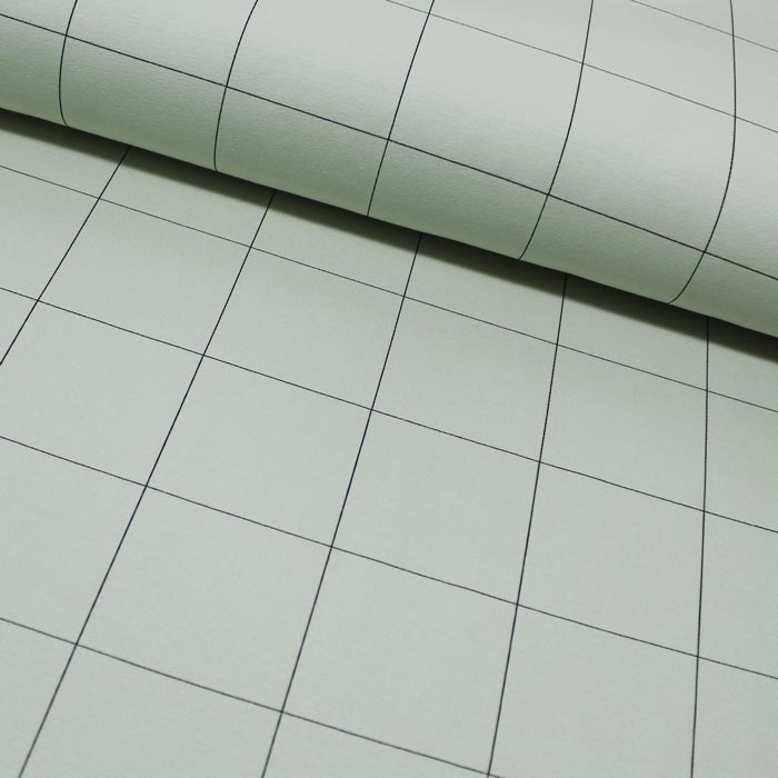 Thin Grid, Vert brouillard, polaire brossée